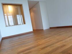 Cairnhill Crest (D9), Condominium #553666531